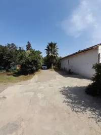 Vente Terrain Tipaza Kolea