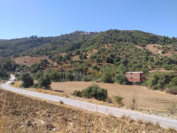 terrain-vente-tizi-ouzou-rached-algerie