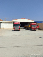 hangar-location-bouira-chorfa-algerie