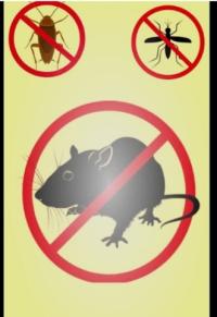 تنظيف-و-بستنة-zero-cafards-rats-الجزائر-وسط