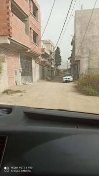 land-sell-blida-algeria