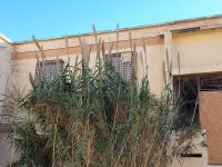 appartement-vente-f3-tiaret-sougueur-algerie