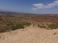 terrain-agricole-vente-relizane-sidi-khettab-algerie