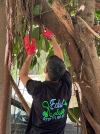 تنظيف-و-بستنة-services-de-jardinage-professionnel-حيدرة-الجزائر