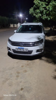 voitures-volkswagen-tiguan-2014-cup-ain-nehala-tlemcen-algerie