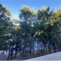 Location Appartement F4 Alger Dely brahim