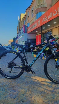 Mondraker Velo 