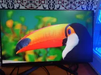 Ecran 165hz ips 1ms asus tuf gaming vg249q1a