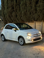 voitures-fiat-500-2024-club-hammamet-alger-algerie