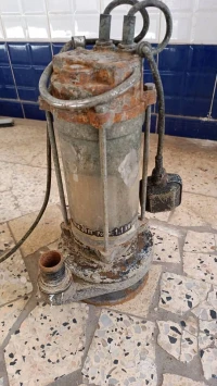 Pompe 380/220v مضخة