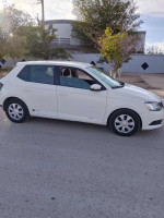 voitures-skoda-fabia-2016-ambition-djelfa-algerie