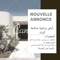 Vente Terrain Agricole Ain defla El abadia