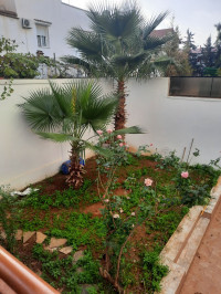 villa-location-alger-dely-brahim-algerie