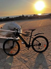 trotinette-دراجة-كهربائية-شبه-جديدة-ain-benian-alger-algeria
