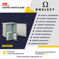 Coffret Electrique Porte Pleine ABB  Gamme SRN  IP65  Italie Avec Platine