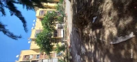 Vente Appartement F3 Alger Dar el beida