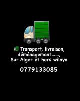 transport-et-demenagement-livraison-bab-ezzouar-alger-algerie