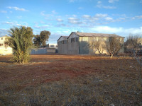 hangar-location-oran-es-senia-algerie