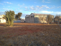 hangar-location-oran-es-senia-algerie