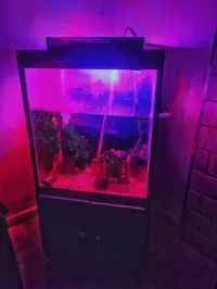 Aquarium
