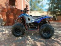 دراجة-نارية-رباعية-كواد-lifan-quad-110-cc-2020-شميني-بجاية-الجزائر