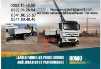 truck-howo-camion-grue-2024-tizi-ouzou-algeria