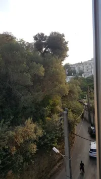 Location Appartement F3 Alger El mouradia