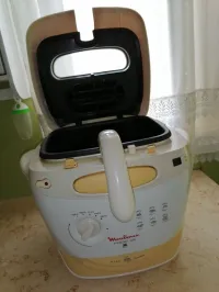 Friteuse 