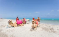 07 JOURS DJERBA Par Bus en AOUT à 64.000 Da جربة بالحافلة