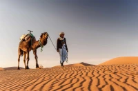 Timimoune - Hôtel Djenane Malek Par Avion en Janvier & Février 2025 à 58.000 Da