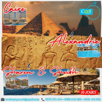 voyage-organise-caire-alexandrie-sharm-el-sheikh-26-aout-a-215000-da-مصر-القاهرة-الاكسندرية-شرم-الشيخ-staoueli-alger-algerie