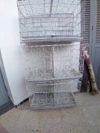 birds-cages-separation-sidi-mhamed-alger-algeria