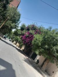 شقة-بيع-3-غرف-4-الجزائر-المحمدية