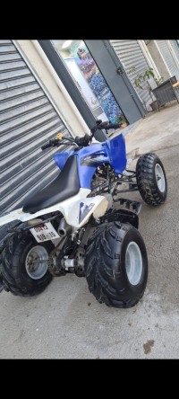 دراجة-نارية-رباعية-كواد-raptor-vms-250cc-2019-تيزي-وزو-الجزائر