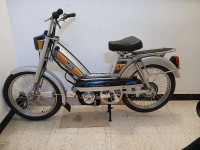 motos-et-scooters-peugeot-103-2024-blida-algerie