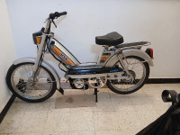 motos-et-scooters-peugeot-103-2024-alger-centre-algerie