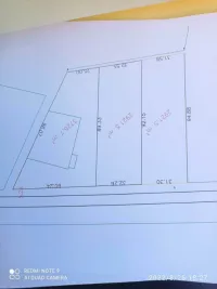 Vente Terrain Blida Meftah
