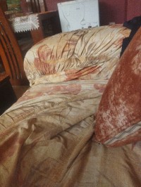 شقة-كراء-طابق-فيلا-غرفتين-الجزائر-برج-الكيفان