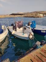 bateaux-et-barques-yamaha-85-ch-polyor-520-2017-es-senia-oran-algerie