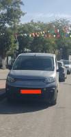 utilitaire-fiat-professional-doblo-dz-2024-setif-algerie