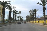 local-location-alger-bab-ezzouar-algerie