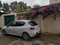 voitures-seat-ibiza-2013-fully-skikda-algerie