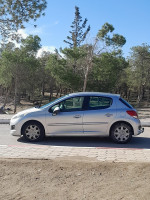 voitures-peugeot-207-2010-setif-algerie