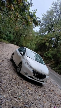 voitures-peugeot-208-2013-allure-taher-jijel-algerie