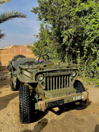 voitures-jeep-1959-ouled-djellal-algerie