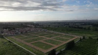 Vente Terrain Blida Boufarik
