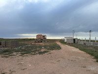 terrain-agricole-vente-ain-temouchent-bou-zedjar-algerie