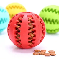 Balle interactif pour chien chat