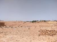 terrain-vente-ghardaia-algerie