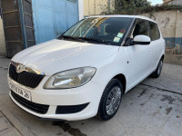 voitures-skoda-fabia-2014-medea-algerie